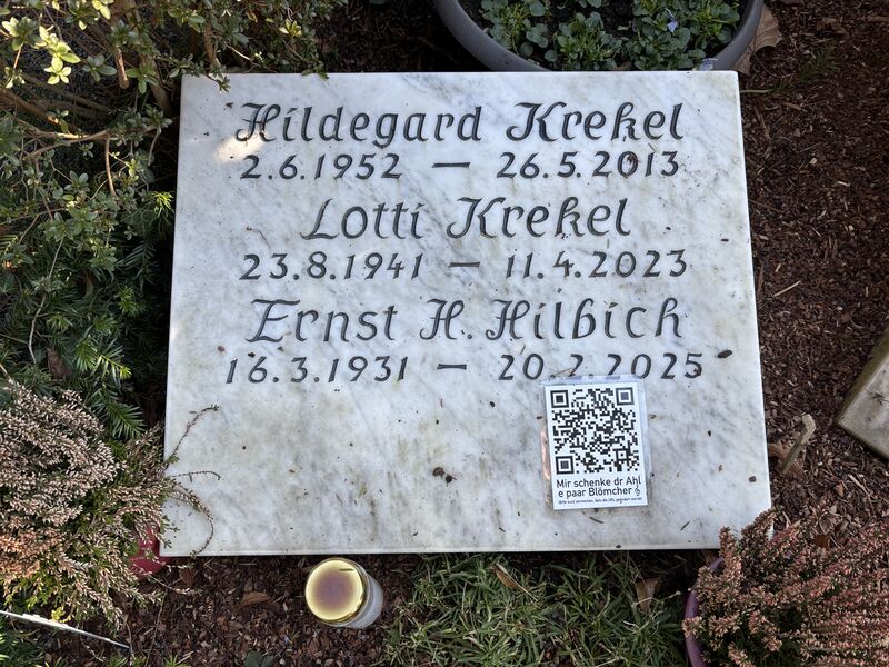 Datei:Grabkrekel2026 2.jpg