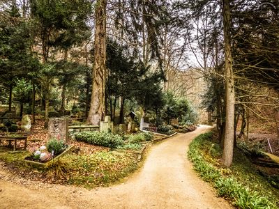 Waldfriedhof Rhöndorf