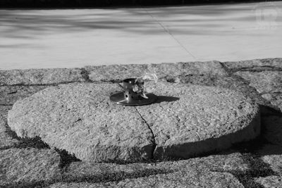 Grab von John F. Kennedy