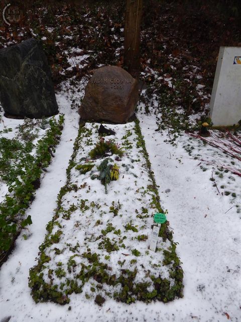Grabvadimglowna2.jpg