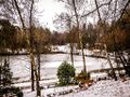 Vorschaubild der Version vom 22. Januar 2017, 00:01 Uhr