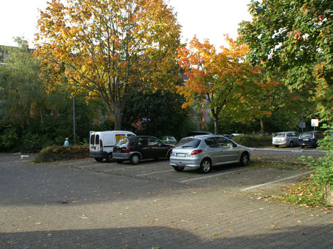 Walterpauli.jpg