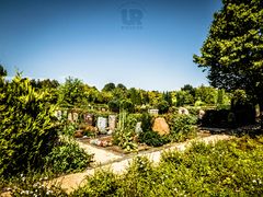 Rheinhoehenfriedhof2.jpg