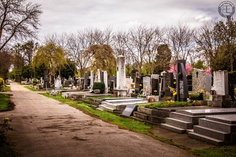 Wienerzentralfriedhof.jpg