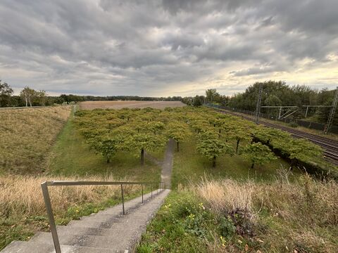 Iceeschede.jpg