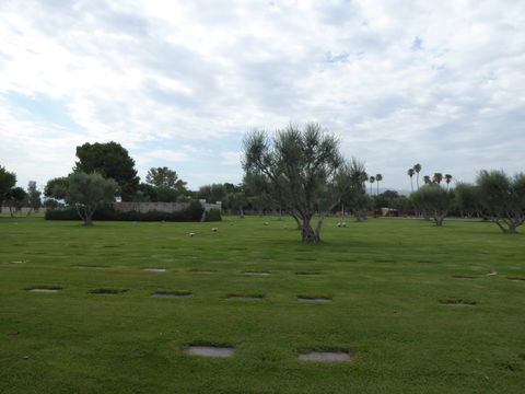 Desertmemorialpark.jpg