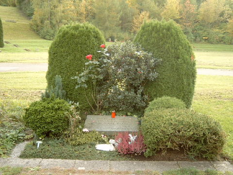 Grabbaaderensslinraspe.jpg