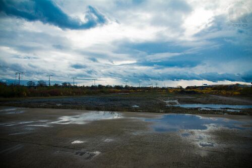 Gelaendeloveparade2010 3.jpg